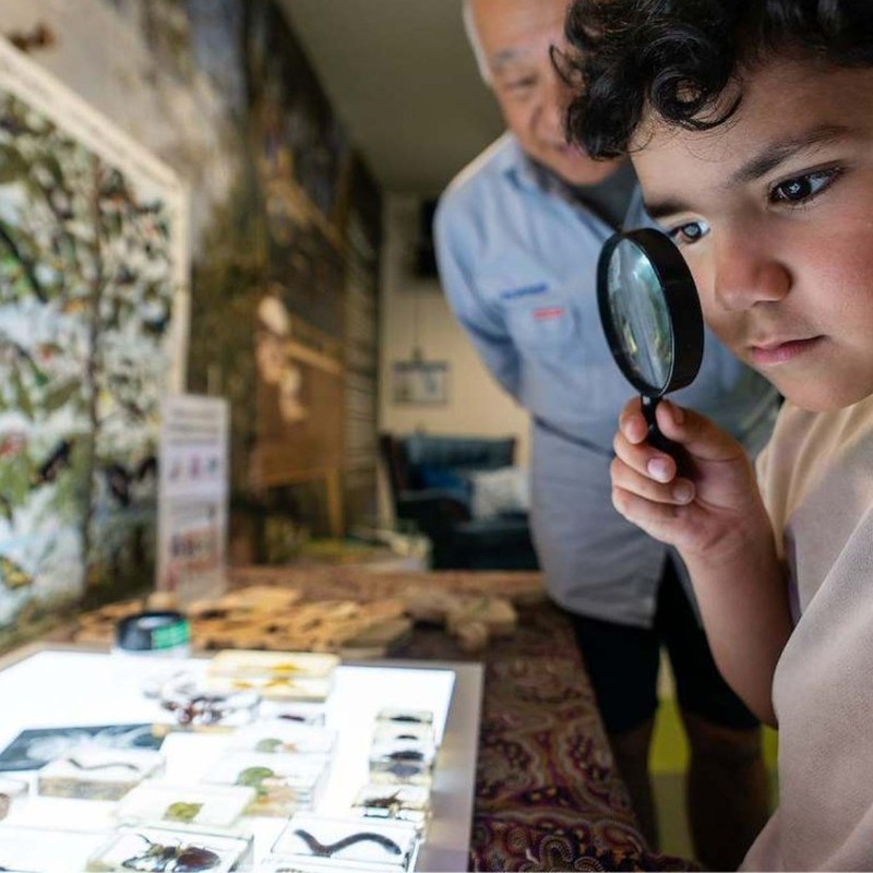 Junior Explorers: iNaturalist