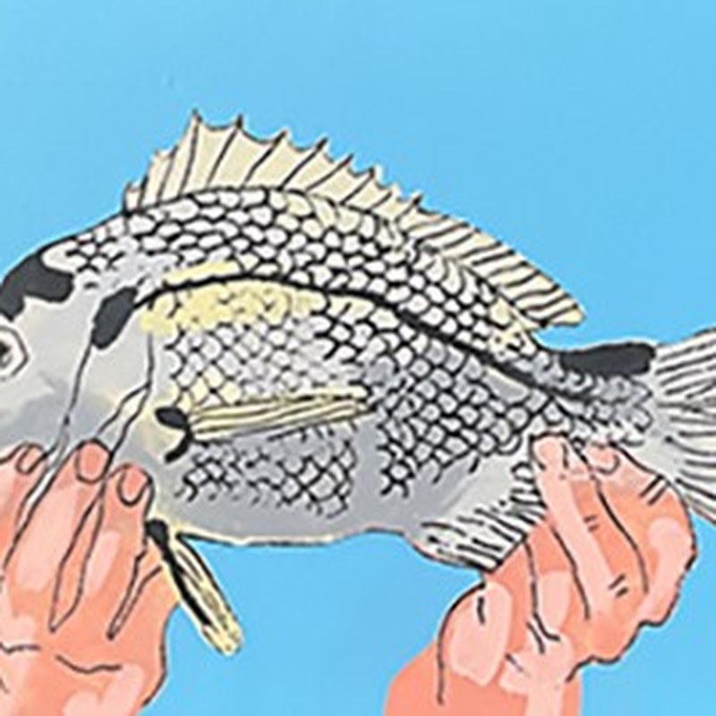 FISHO: Cast Your Line Drawing Game