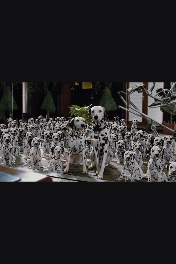 101 Dalmatians