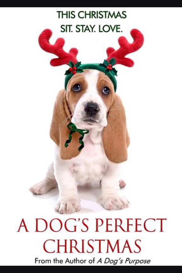 A Dog's Perfect Christmas