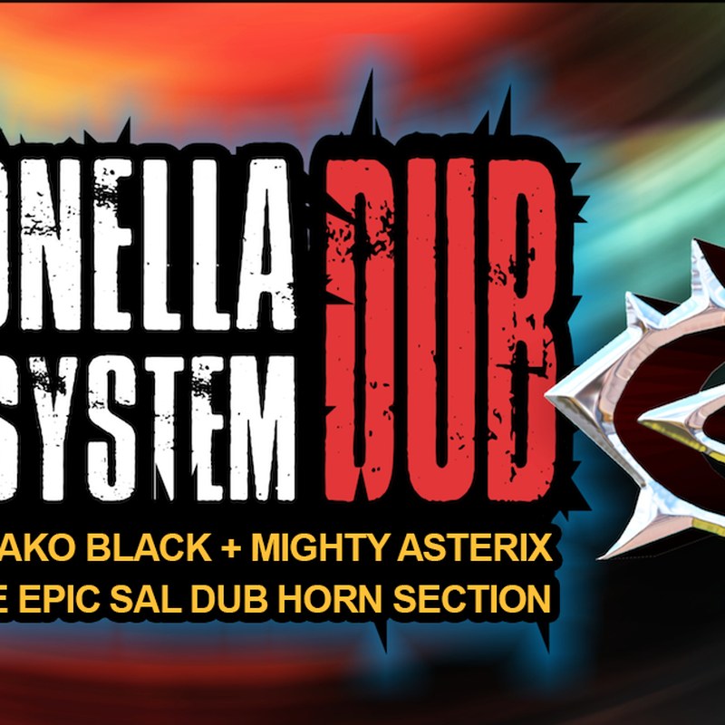 Salmonella Dub Soundsystem