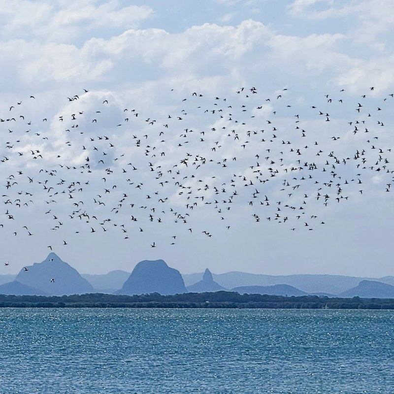 Wild Bribie: A Family Fun Day