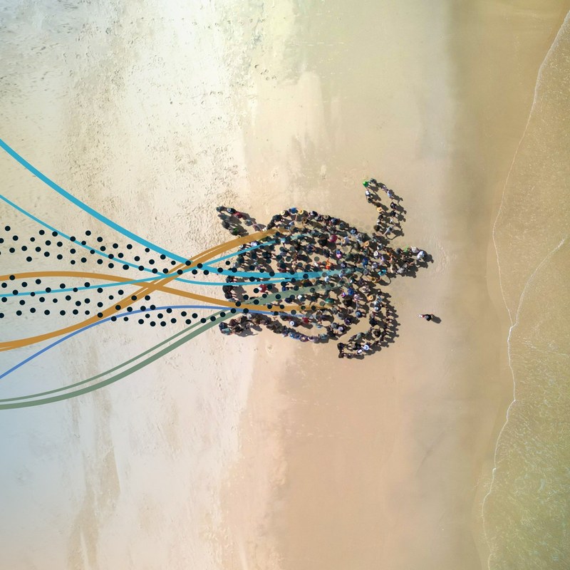 BIEPA Giant Turtle