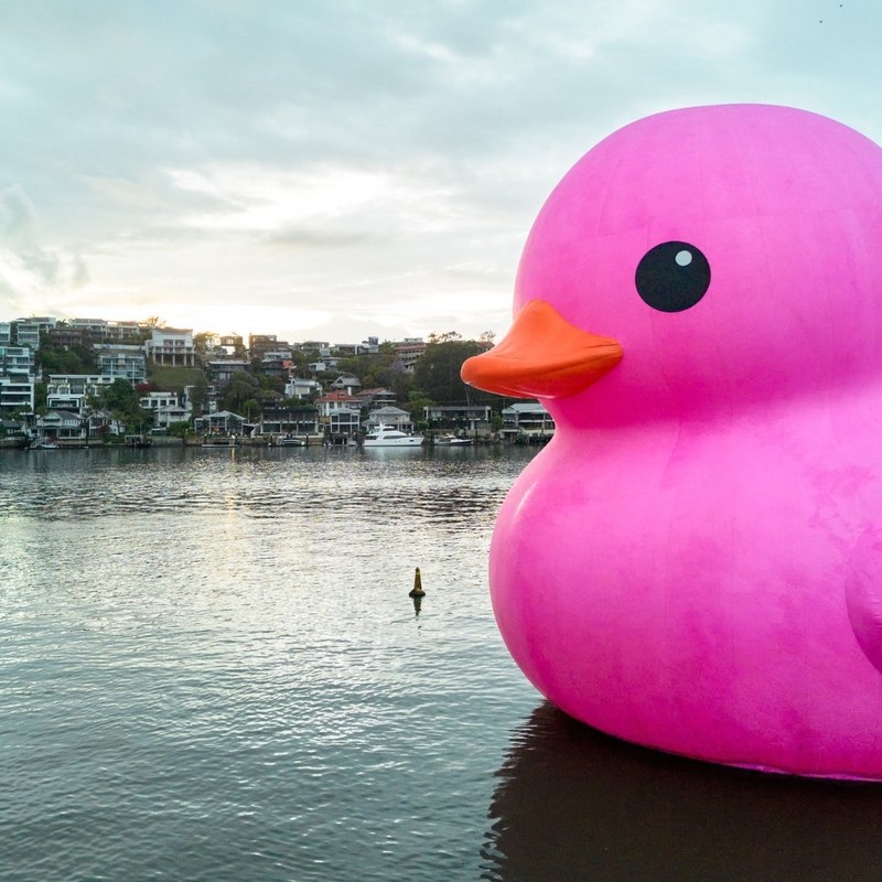 Rubber Duck