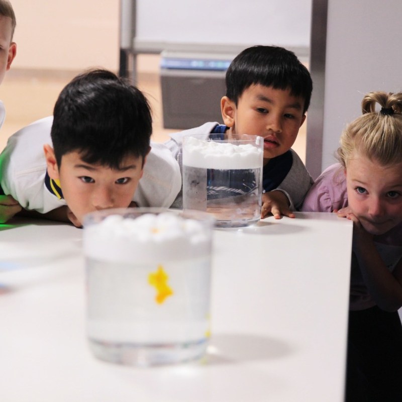 Sensory Friendly Tween STEAM